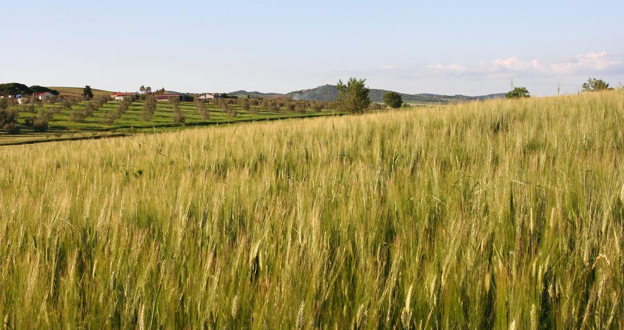 Agriturismo Il Forasacco Grosseto Eksteriør bilde