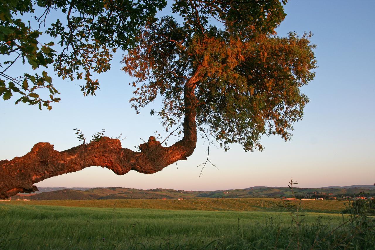 Agriturismo Il Forasacco Grosseto Eksteriør bilde